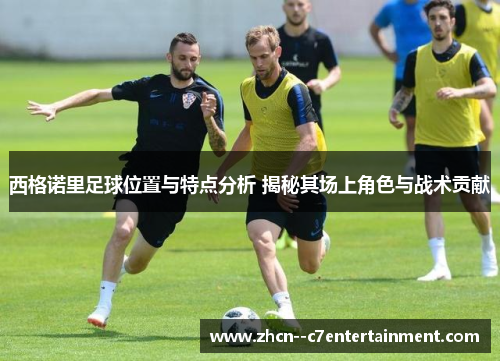 西格诺里足球位置与特点分析 揭秘其场上角色与战术贡献